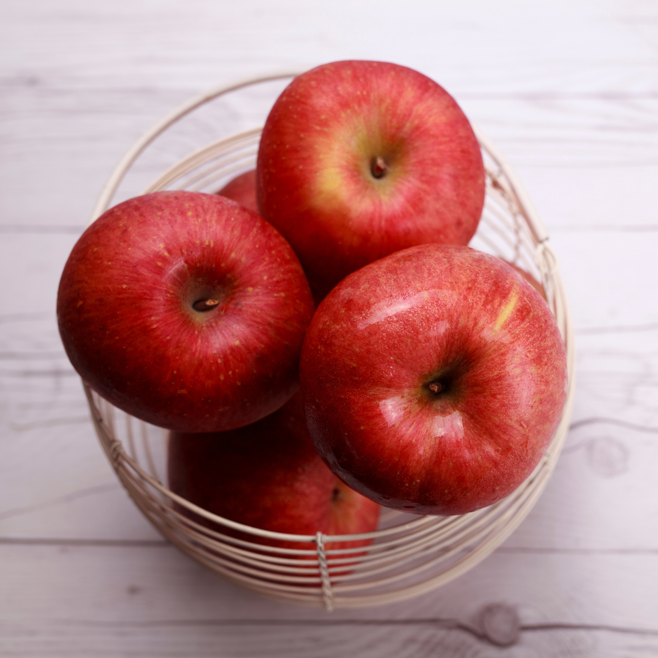 Live Apple Plant - Image 4