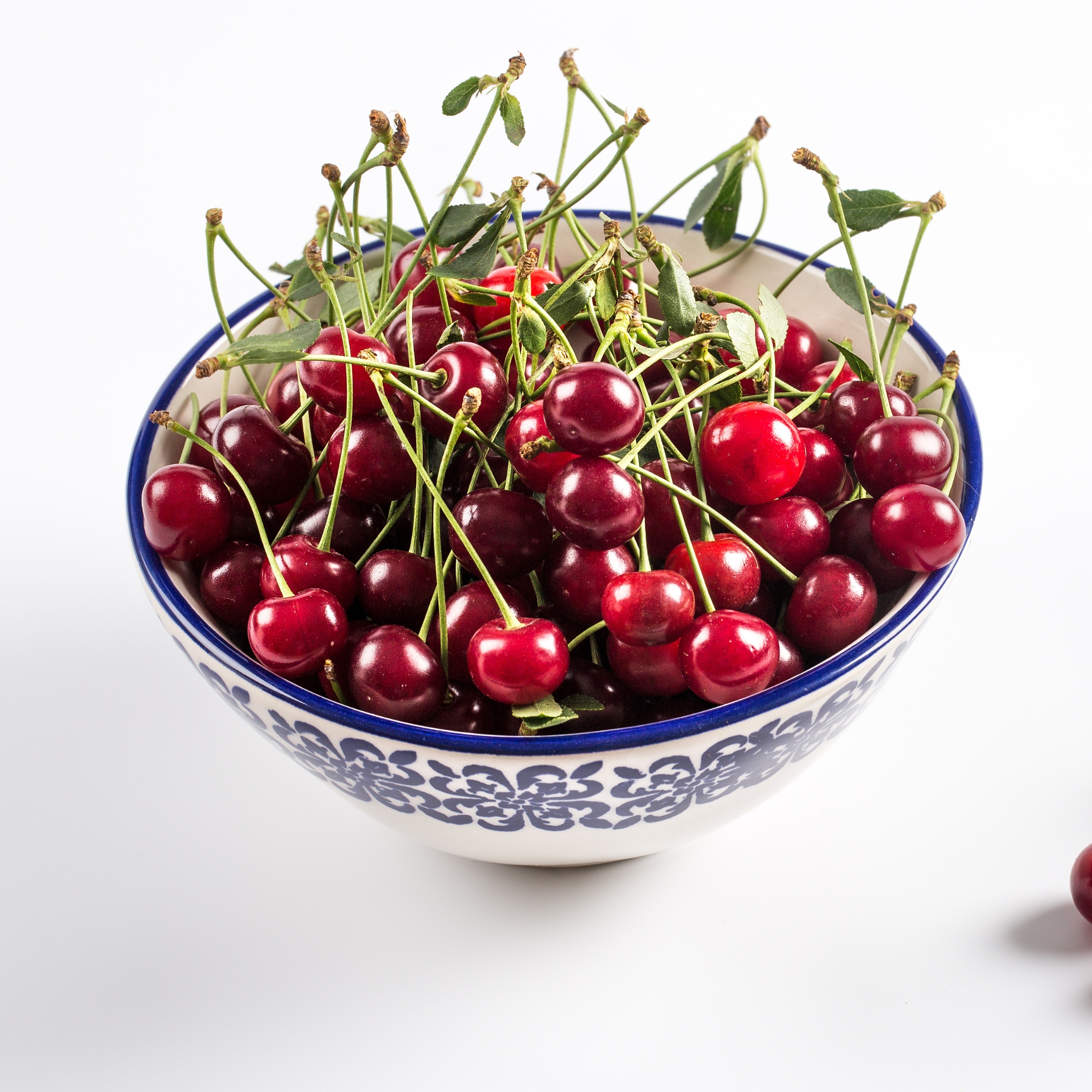 Sour Cherry Plant Live - Image 4