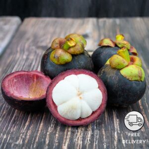 Mangosteen Plant Live