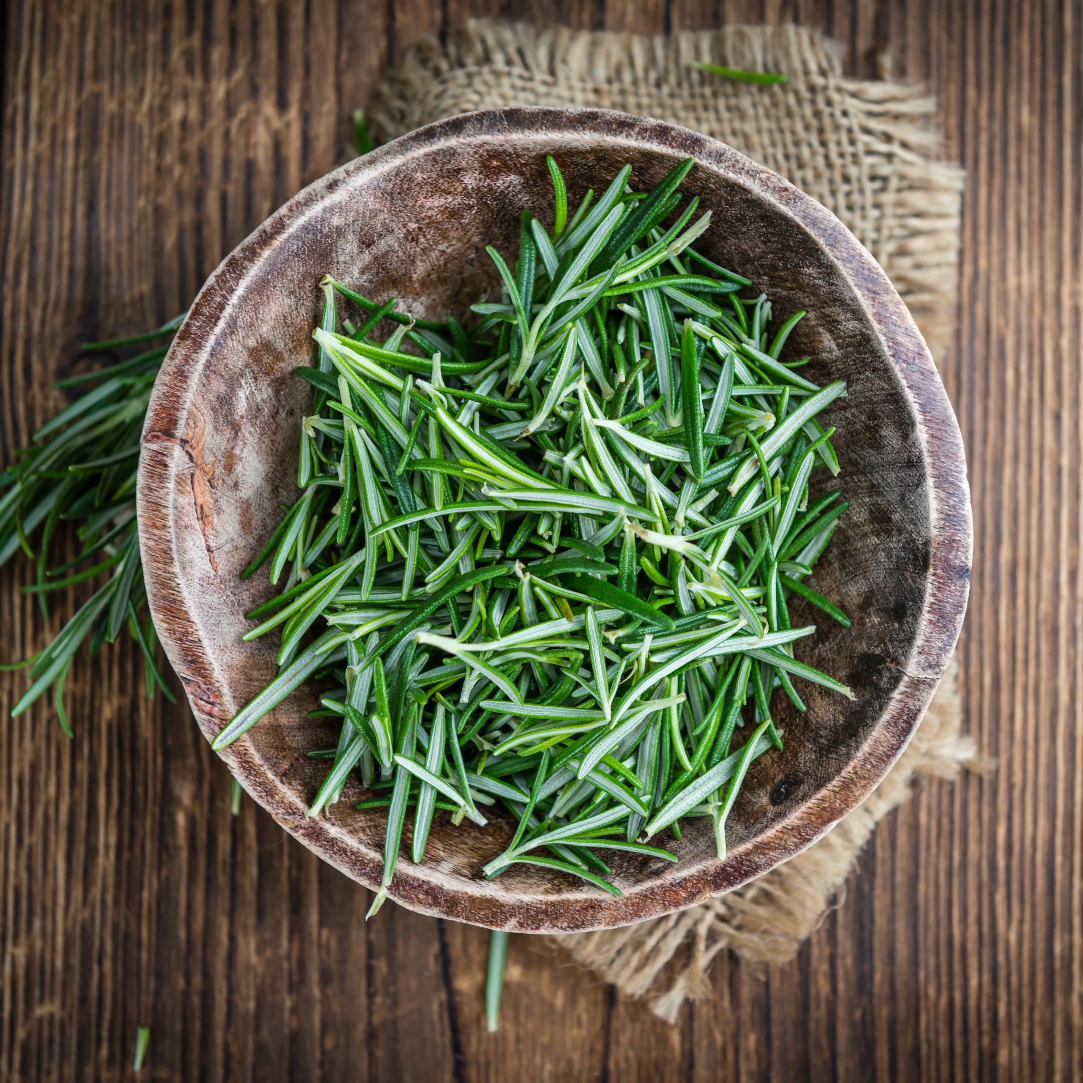 Rosemary Plant - Image 3