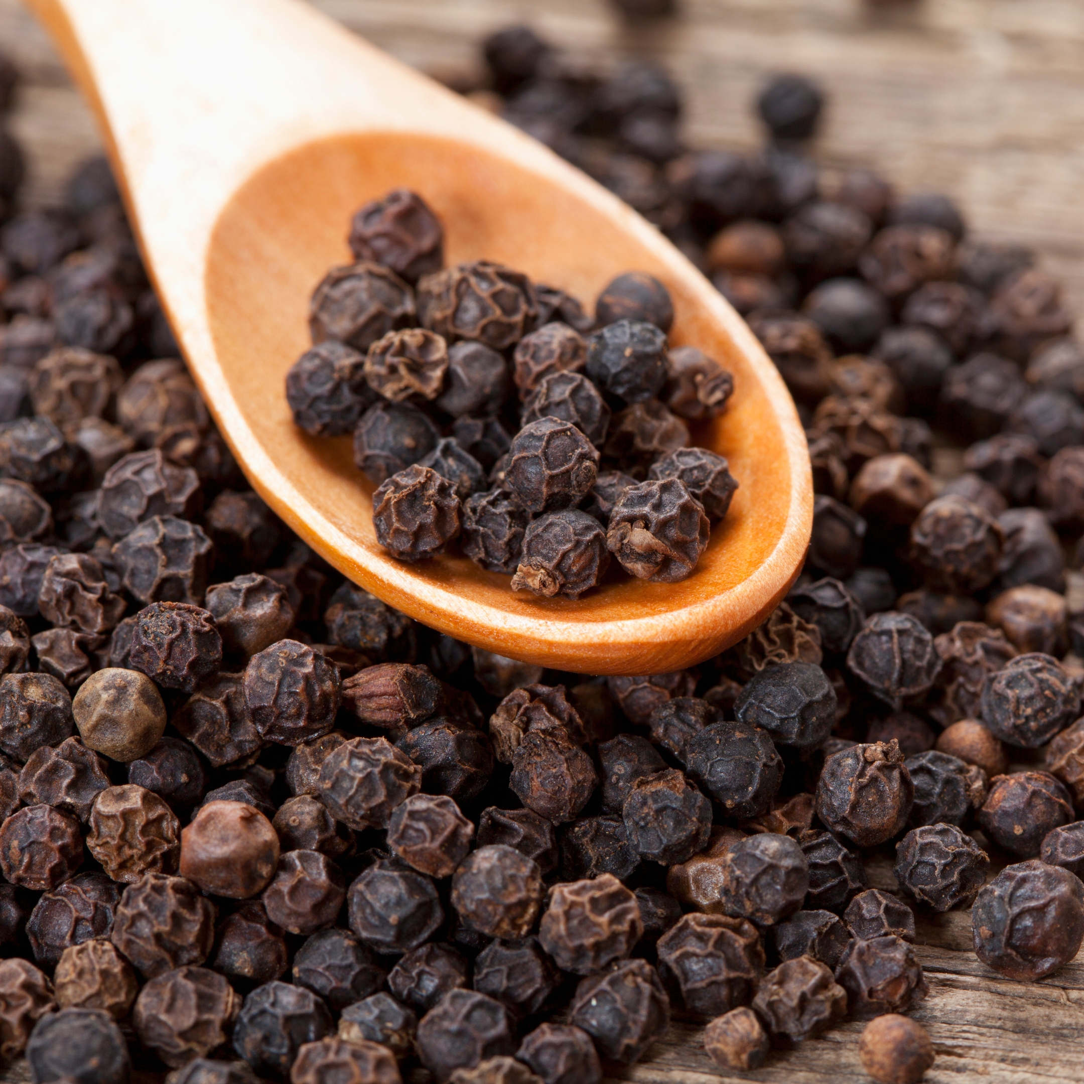 Black Pepper Plant, (Kali Mirch) - Image 5