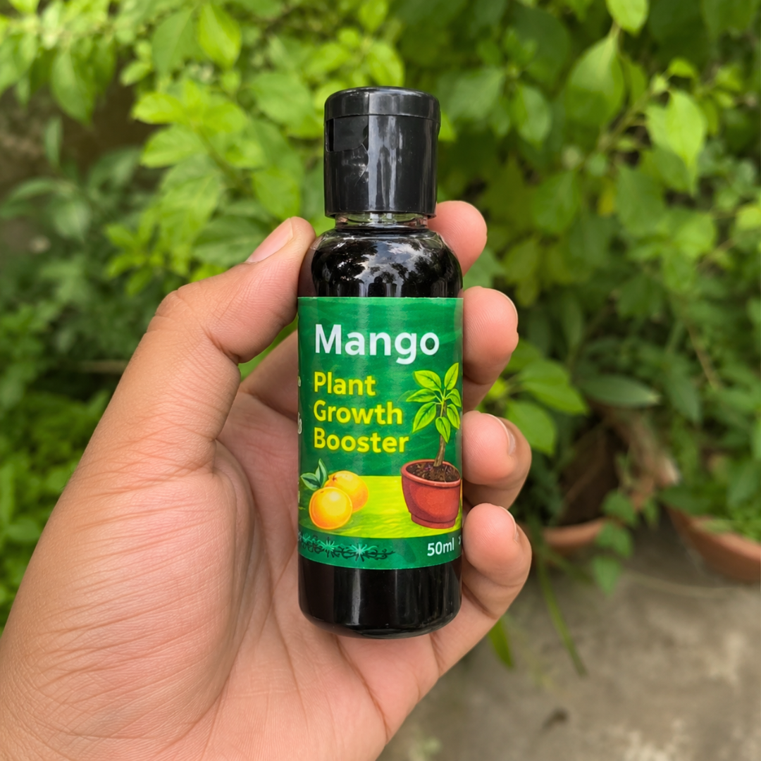 Mango Plant Growth Booste Liquid Fertilizer Premium Essential Powerful Organic Liquid for Overall increase of Mango Plants Pack Of 2 (50ml X 2) - Image 3