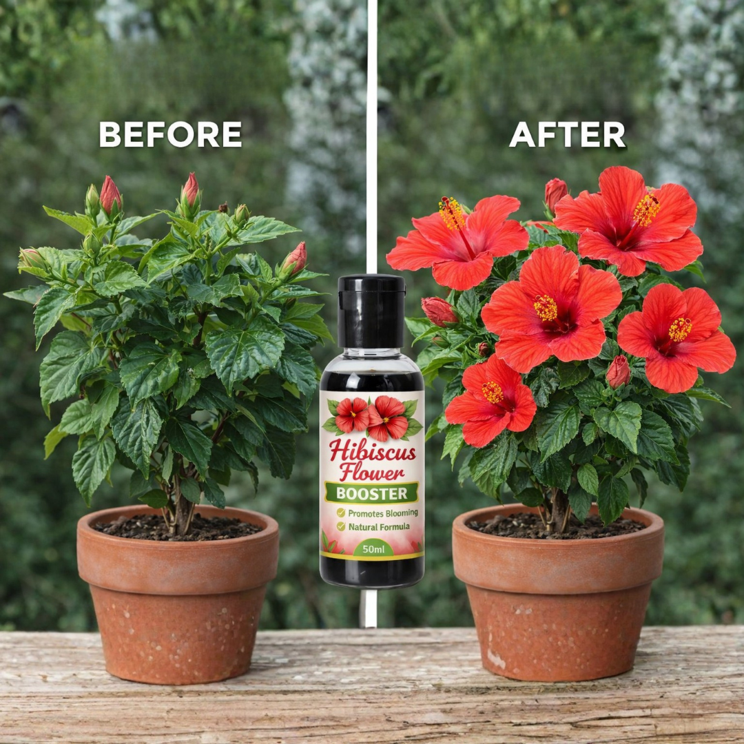 Hibiscus Flower Bloom Booster Liquid Fertilizer | Organic Hibiscus Flowers Growth Booster Enhancer Promotes More Buds, Bigger & Vibrant Flowers | Enhances Continuous Blooming & Plant Health Pack Of 1 (50ml X 1) - Image 5