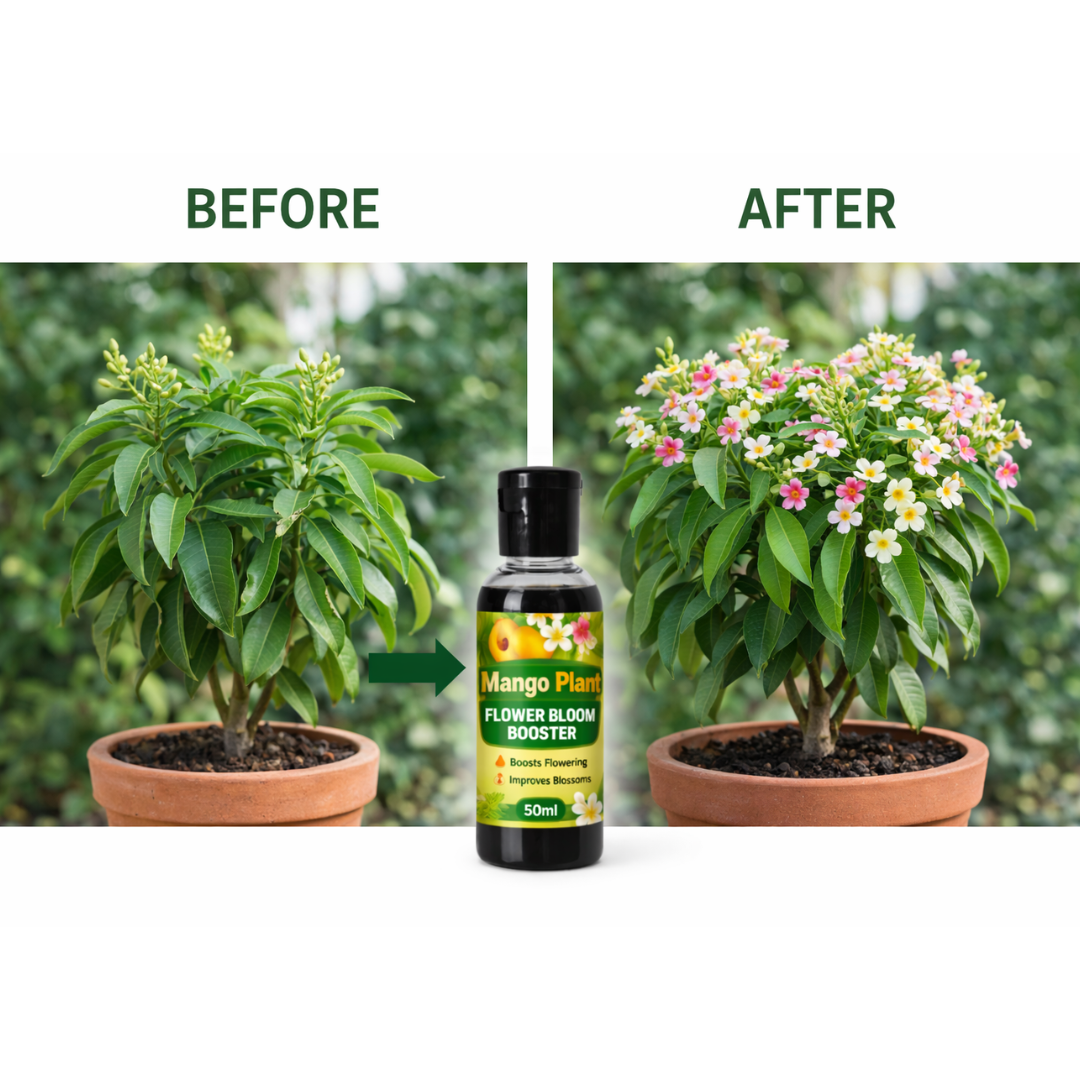 Mango Flower Bloom Booster Liquid Fertilizer | Organic Mango Flowers Growth Booster Enhancer Promotes More Buds, Bigger & Vibrant Flowers | Enhances Continuous Blooming & Plant Health Pack Of 1 (50ml X 1) - Image 5