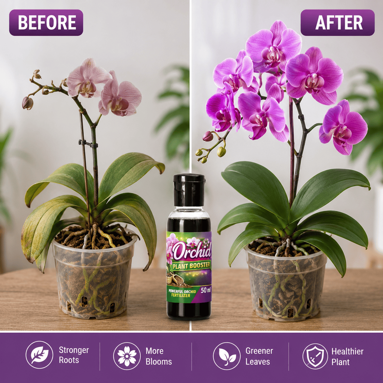 Orchid Flower Plant Growth Booster Liquid Fertilizer, Organic Orchid Flower Plant Growth Enhancer Booster Enriched Essential for Healthy Growth Pack Of 3 (50ml X 3) - Image 5