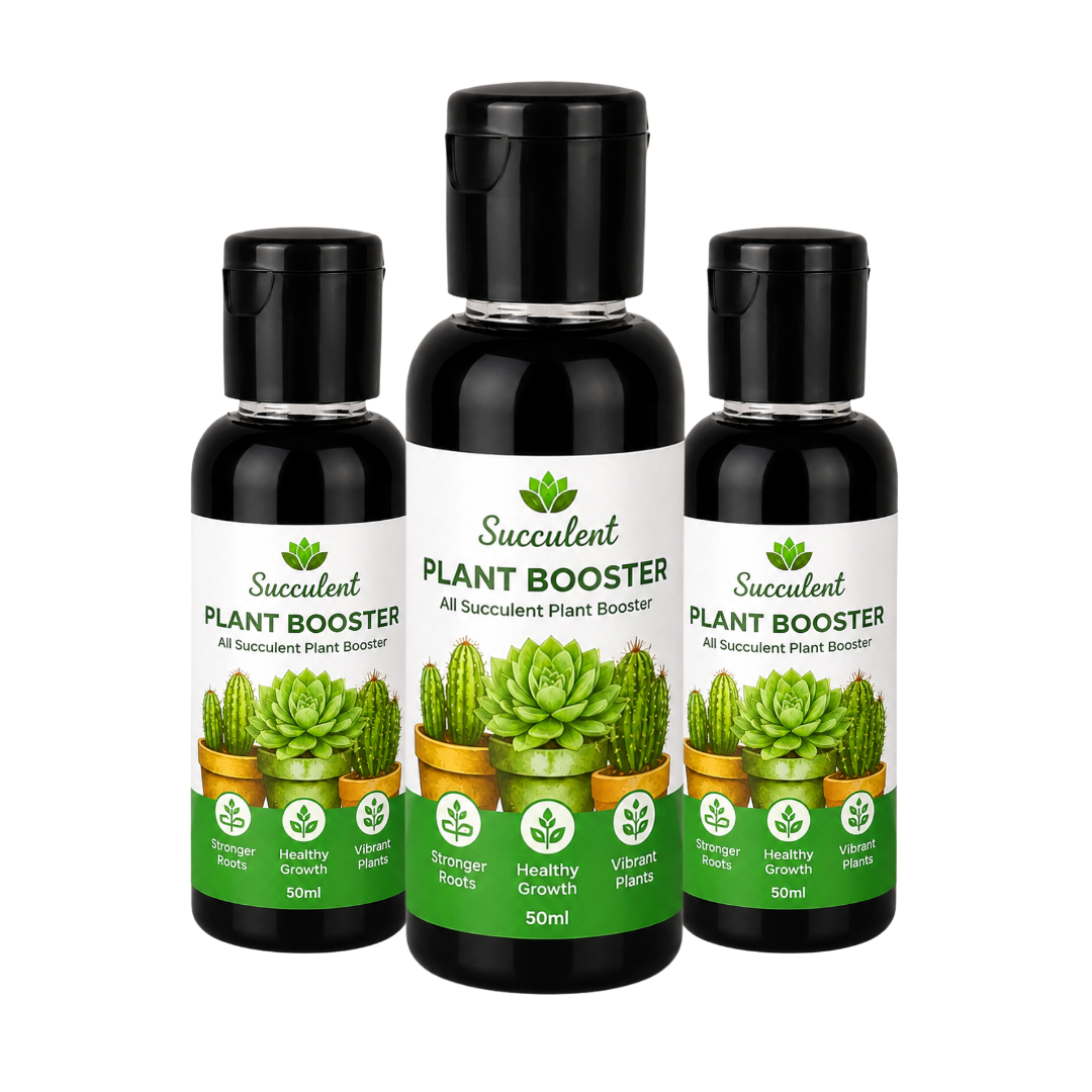 All Type Of Succulent Plant Booster for Speed Growth Pack (3 x 50 ml) | All Type Of Succulent Plant Growth Booster Liquid & Organic All Type Of Succulent Plant Booster Liquid Fertilizer | Liquid Fertilizer for All Type Of Succulent Plants Home Garden (Pack Of 3)