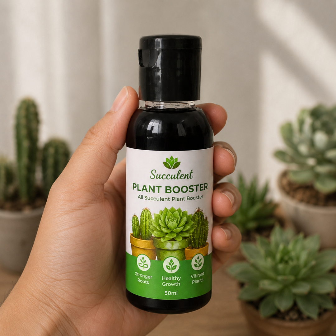 All Type Of Succulent Plant Booster for Speed Growth Pack (1 x 50 ml) | All Type Of Succulent Plant Growth Booster Liquid & Organic All Type Of Succulent Plant Booster Liquid Fertilizer | Liquid Fertilizer for All Type Of Succulent Plants Home Garden (Pack Of 1) - Image 4