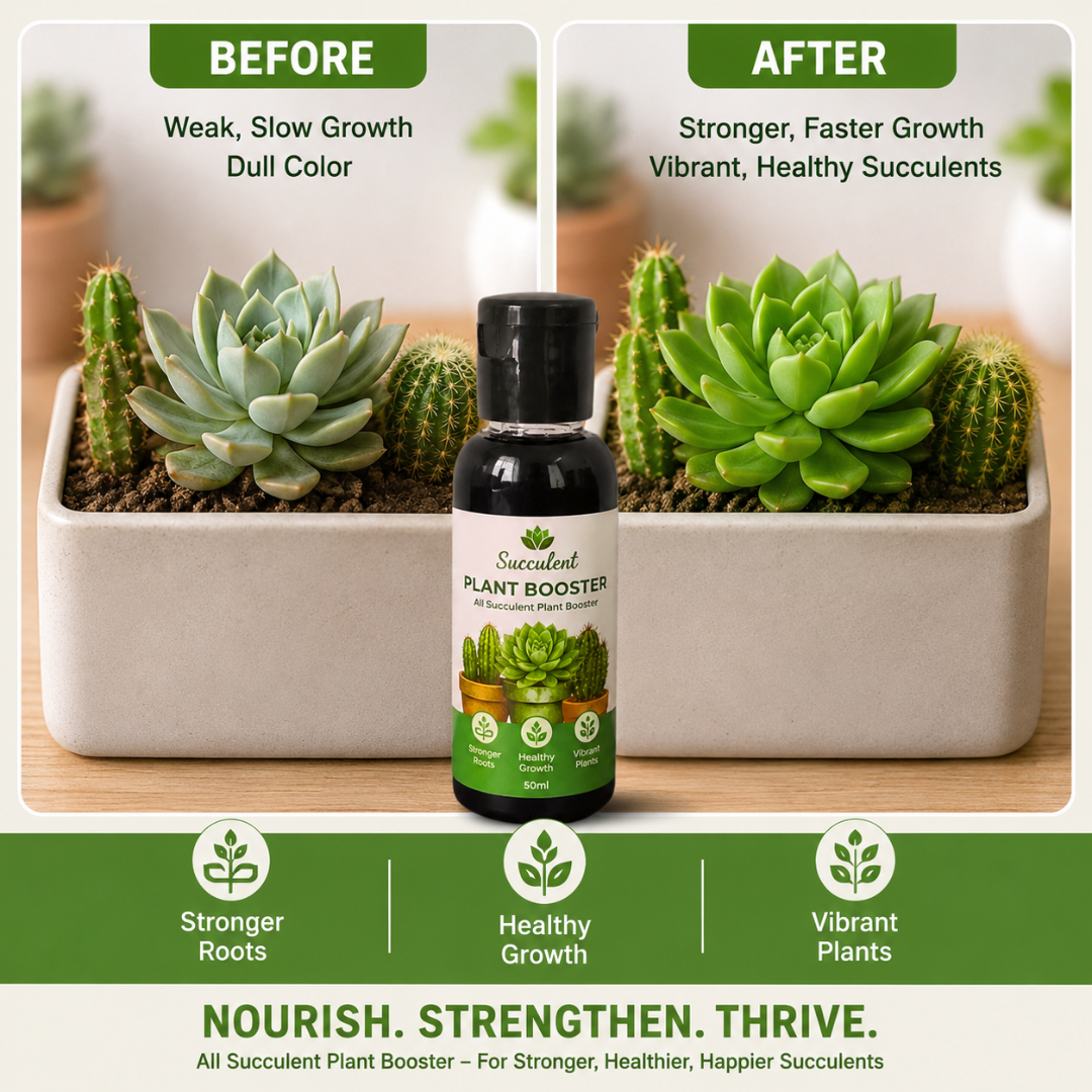 All Type Of Succulent Plant Booster for Speed Growth Pack (1 x 50 ml) | All Type Of Succulent Plant Growth Booster Liquid & Organic All Type Of Succulent Plant Booster Liquid Fertilizer | Liquid Fertilizer for All Type Of Succulent Plants Home Garden (Pack Of 1) - Image 5