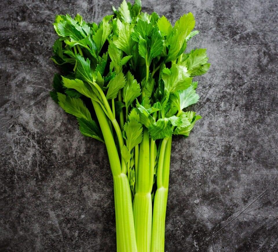 Celery seeds organic, Seeds for celery organic pack of 50 seeds - Image 2